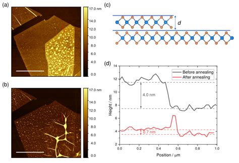 thickness of monolayer graphene